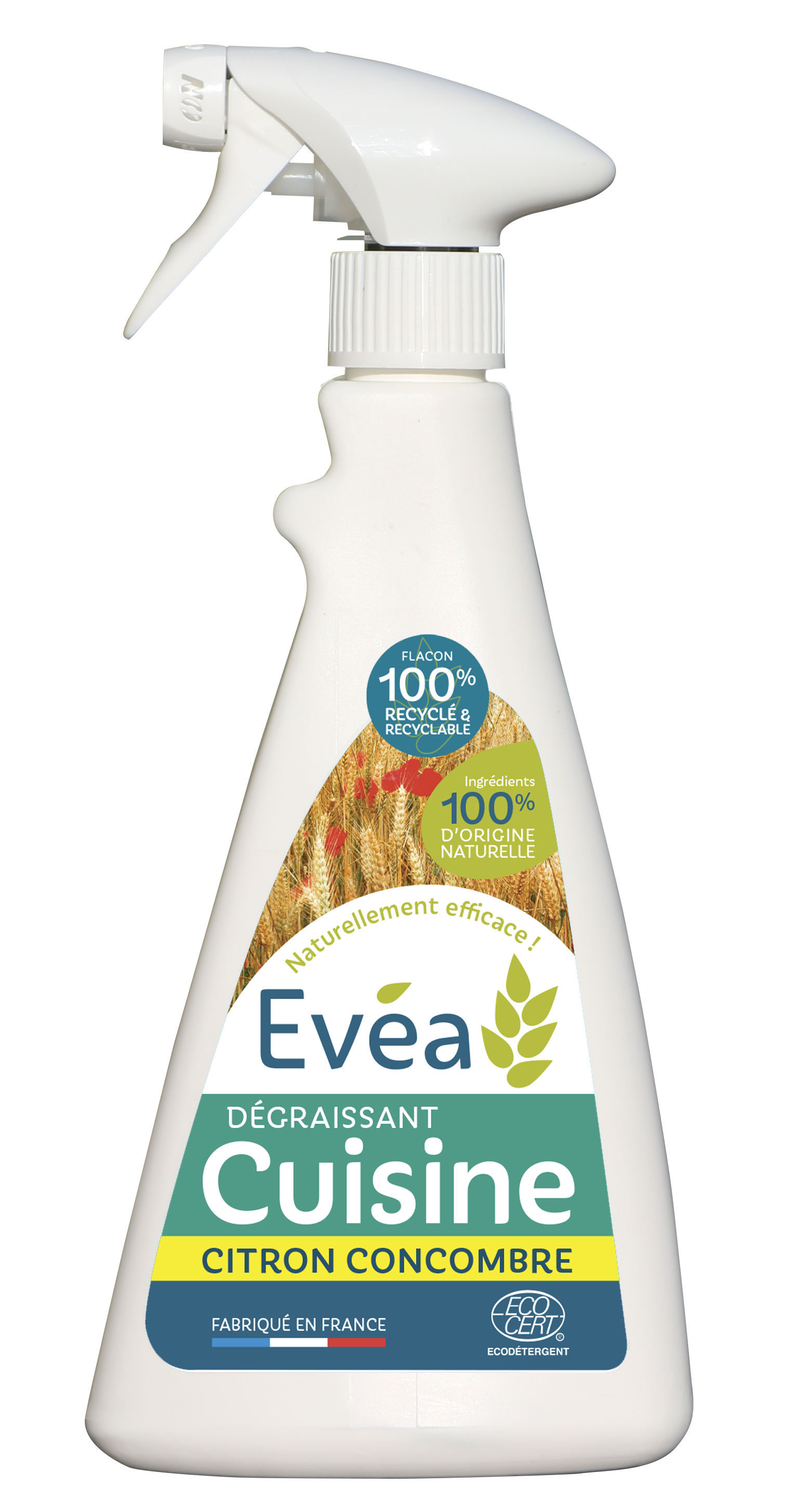 Dgraissant Cuisine Eva - Produits d'hygine et de nettoyage agro-sourcs