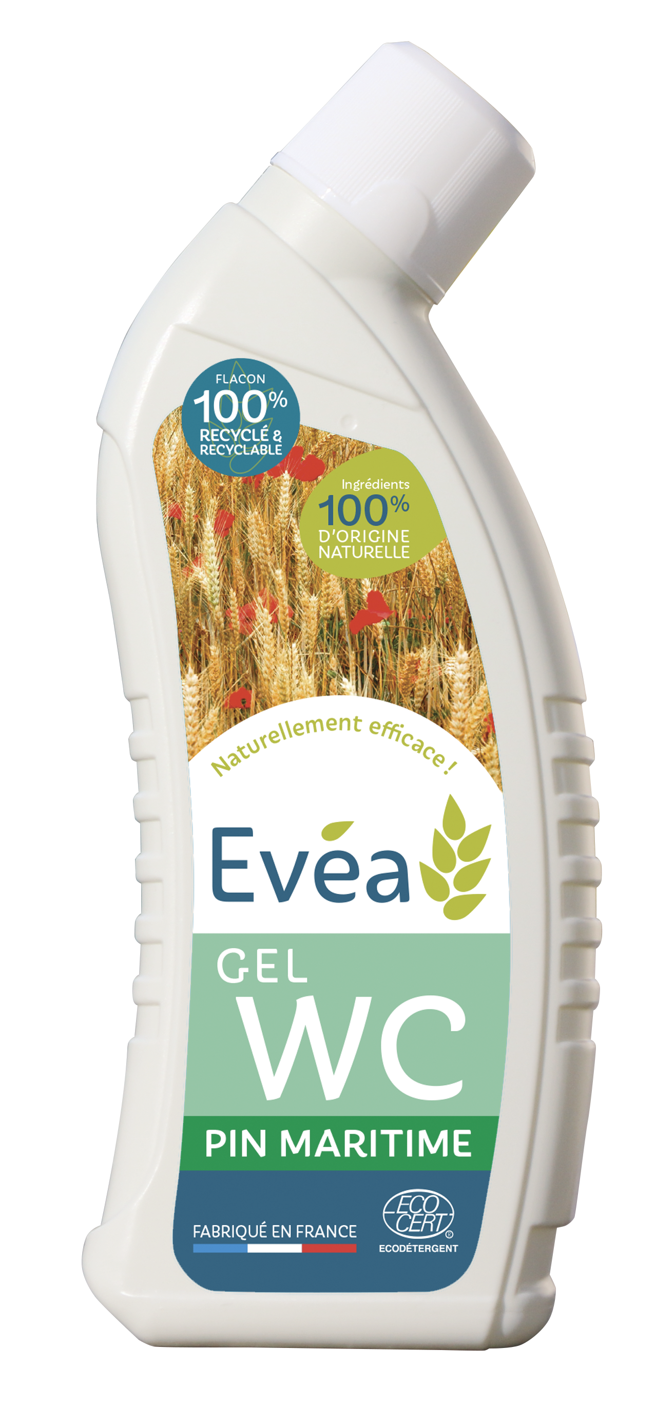 Gel WC EVa - Produits d'hygine et de nettoyage agro-sourcs